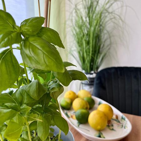 וינה Luxurious City Apartment Incl Garage And Terrace מראה חיצוני תמונה
