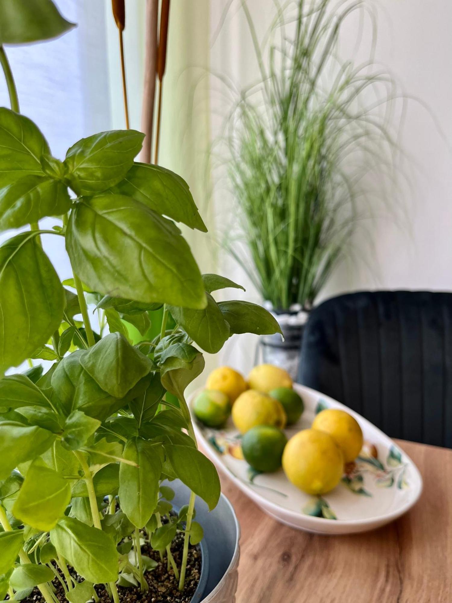 וינה Luxurious City Apartment Incl Garage And Terrace מראה חיצוני תמונה